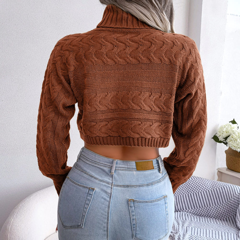 Emilie-Calie Cropped Turtleneck Sweater