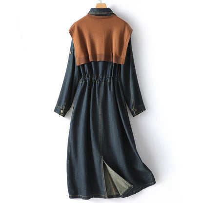 Emie Daly Long Denim Dress